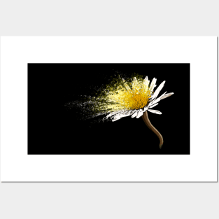 Blooming Daisy Posters and Art